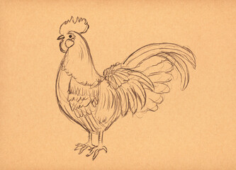 Fototapeta na wymiar 手書きの鶏のイラスト
