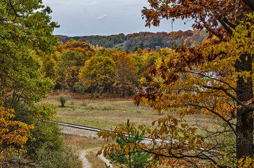 Autumn Colors Along a Railroad Track 10280