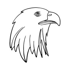 vector doodle drawing by hand eagle's head in profile