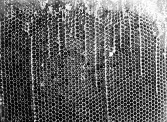 Drop of bee honey drip from hexagonal honeycombs