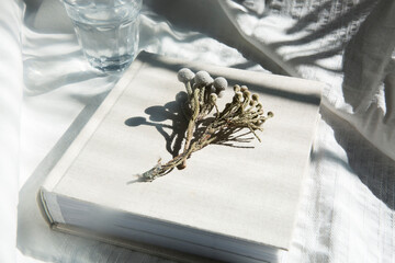 自然光と影が差し込む、白のファブリックに置かれた本