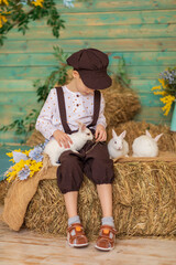 A child feeds white rabbits against a floral blue wall. A boy in a brown cap and overalls with fluffy animals sits on the hay. Easter concept. Happy childhood.
