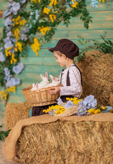 A child holds a basket with white rabbits against a floral blue wall. A boy in a brown cap and overalls with fluffy animals sits on the hay. Easter concept. Happy childhood.