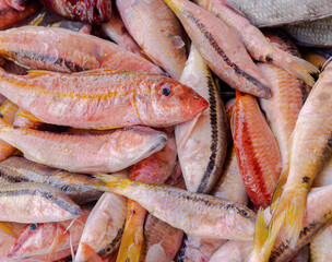 Fresh pink coloured fishes in the market, Red Sea fish pattern