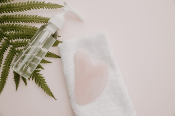 Pink gua sha, essence in a bottle and fern leaf on pink table