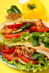 Concept of tasty food with pitas with chicken meat