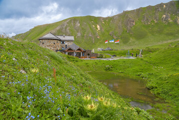 Fototapete bei efototapeten.de bestellen   