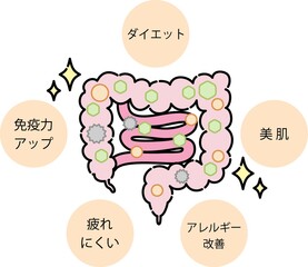 腸内環境のイラスト