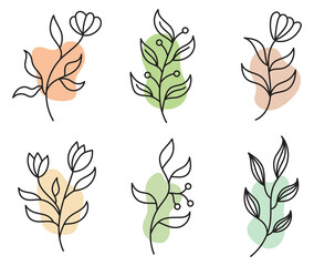 A set of illustrations of plant silhouettes Branches and leaves with abstract colored spots