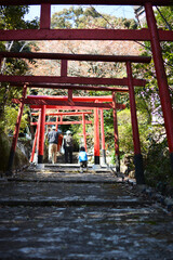 Fototapeta na wymiar 神社。