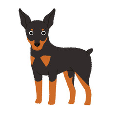 ミニチュアピンシャーの犬イラスト