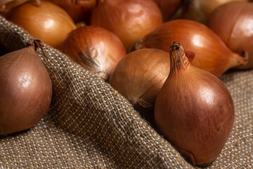 Onion on burlap. Harvest of yellow onions. Healthy vegetables