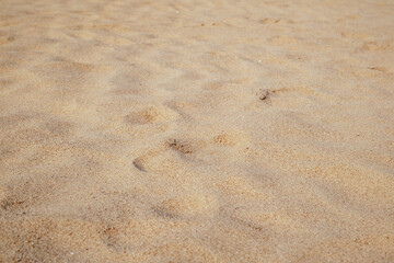 sand texture on the beach