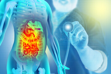 Anatomy of human body with digestive system. Abdominal disease or pain. 3d illustration