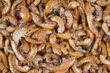 Gammarus pet and fish food background texture. Freshwater shrimp dried fish and turtle food...