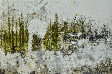 Grunge surface wall texture background