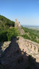 Chateau du haut-koenigsbourg