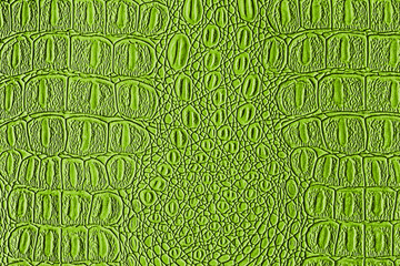 Green crocodile leather texture. Abstract backdrop for design.