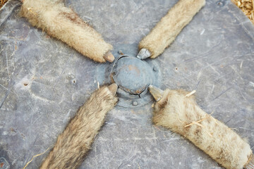Medieval round metal shield with rivets and fur decoration. Protection from attack in the Middle Ages.