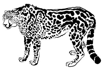 vector king cheetah symbol