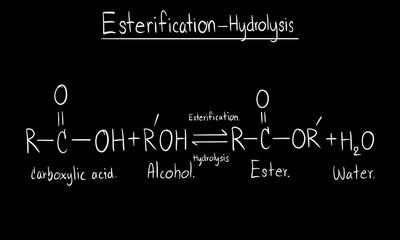 Chemical equation of esterification and hydrolysis reaction showing the conversion of a carboxylic acid and alcohol into ester and water, illustrated on a blackboard for education and chemistry 