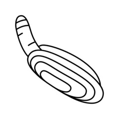 pacific razor clam line icon vector illustration