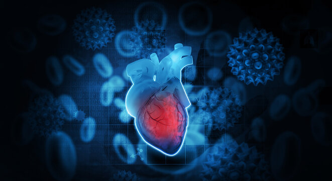 Human heart on science background