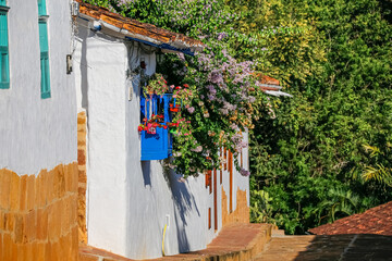 Fototapeta na wymiar Historic white house facades with blue balcony and flowering plants in sunlight, Barichara, Colombia