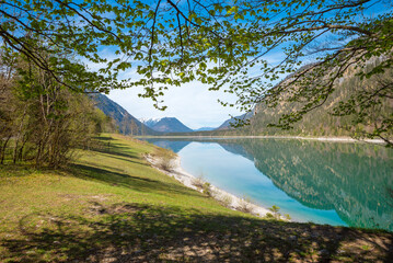stunning spring landscape, sunbathing area lake Sylvenstein, branches of a beech tree, water reflection