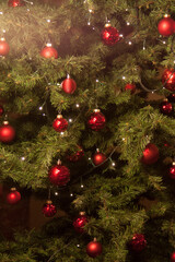Rote Christbaumkugeln am Tannenbaum