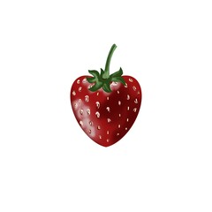 digital drawing of strawberries, art for print, logo, website, coffee house, confectioner, farmer