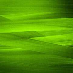 Overlapping green background