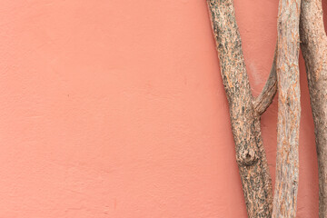 Minimalist summer cityscape with dusty rose stucco wall with wood tree trunk with copy space. Old...