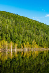 forest and mountain are reflected in the river summer sunny day