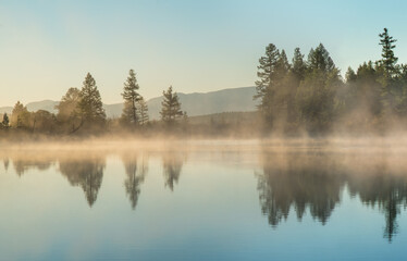 View of forest lake in morning fog, summer travel - obrazy, fototapety, plakaty