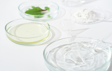 Glass petri dish and test tube with plant extract and green leaves . Research and develop cosmetic production in the laboratory. 