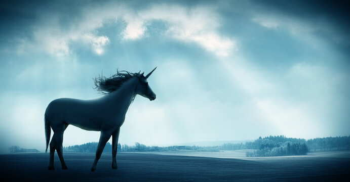 Believe the unbelievable. Shot of a beautiful unicorn against against a dramatic landscape.