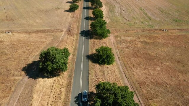 Pavement Road At Simonsberg Nature Reserve In Wine Estate Of Stellenbosch In Western Cape Province, South Africa. Aerial Pullback