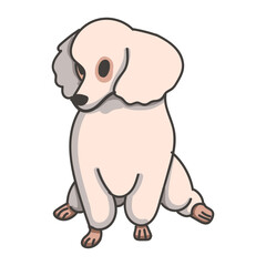 Hand drawn dog cartoon character illustration Animal.