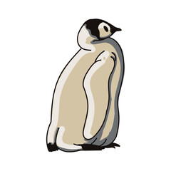 Hand drawn penguin cartoon character illustration Animal.