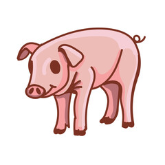 Hand drawn pig cartoon character illustration Animal.