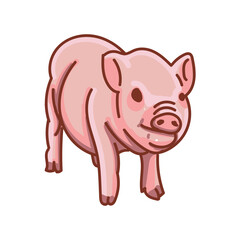Hand drawn pig cartoon character illustration Animal.