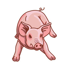 Obraz premium Hand drawn pig cartoon character illustration Animal.