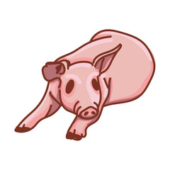 Hand drawn pig cartoon character illustration Animal.