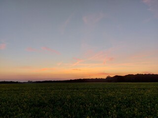 Am Horizont sind Silhouetten von Bäumen und Sträuchern zu sehen. Die gleiche Szene folgt dem Erwachen des Tages. Die Sonne geht auf und die Dunkelheit weicht vor dem Rauschen das Rot. Das Himmelblau.