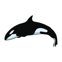 Hand drawn whale cartoon character illustration Animal.