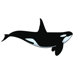 Hand drawn whale cartoon character illustration Animal.