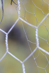 Closeup of metallic chain link fence with soft blur.