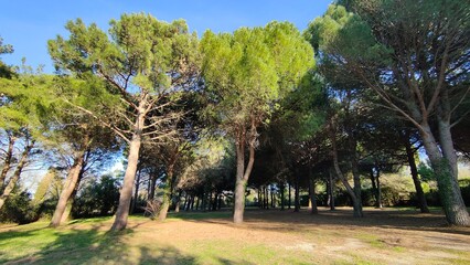 VILLENEUVE LES AVIGNON (Gard)