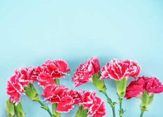 Spring bright background with flowers